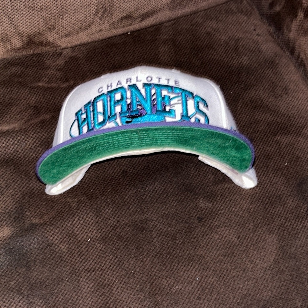 Vintage Charlotte Hornet 47 brand SnapBack